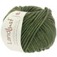 Lana Grossa LANDLUST WINTERWOLLE | 25-verde foresta puntinato