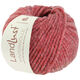 Lana Grossa LANDLUST WINTERWOLLE | 29-rosso puntinato