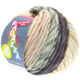 Lana Grossa LEI Mouliné/Color Mix/Spray (Ragazza) | 258-ecru/rosa pallido/marrone dorato/blu violetto