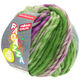 Lana Grossa LEI Tweed Color (Ragazza) | 402-grigio blu/verde/viola rosso puntinato