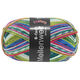 Lana Grossa MEILENWEIT 6-FACH 150g Apache | 9553-