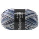 Lana Grossa MEILENWEIT 6-FACH 150g DENIM MIX | 9637-