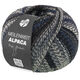 Lana Grossa MEILENWEIT 100g Alpaca Mix | 2306-