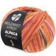 Lana Grossa MEILENWEIT 100g Alpaca Poncho | 2723-arancio/fucsia/crema/erica/marrone