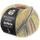 Lana Grossa MEILENWEIT 100g Alpaca Poncho | 2724-grigio argento/grigio chiaro/grigio scuro/oliva chiaro/beige sabbia