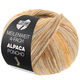 Lana Grossa MEILENWEIT 100g Alpaca Poncho | 2726-beige sabbia/taupe/marrone/beige chiaro/caramello