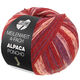 Lana Grossa MEILENWEIT 100g Alpaca Poncho | 2727-rosso vino/viola rosso/blu prugna/kiwi/rosa