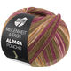 Lana Grossa MEILENWEIT 100g Alpaca Poncho | 2728-verde muschio/viola rosso/ecru/arancio/marrone
