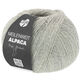 Lana Grossa MEILENWEIT 100g Alpaka | 2013-grigio pietra