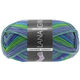 Lana Grossa MEILENWEIT 50g Cashmere Harmony | 212-