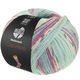 Lana Grossa MEILENWEIT 100g Cashmere Pista | 142-menta/turchese /bianco/grigio/blu chiaro/fucsia a strisce