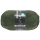 Lana Grossa MEILENWEIT 100g Cotton Stretch | 8055-verde canna