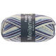 Lana Grossa MEILENWEIT 100g Fondo | 7872-