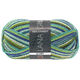 Lana Grossa MEILENWEIT 100g Glamy | 2713-
