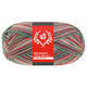 Lana Grossa MEILENWEIT 100g Merino Christmas | 6807-bianco/verde scuro/marrone scuro/arancio/verde chiaro