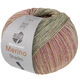 Lana Grossa MEILENWEIT 100g Merino Extrafine Shades | 7232-verde pastello/verde grigio/beige chiaro/beige/rosa vivo