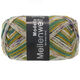 Lana Grossa MEILENWEIT 100g Modello | 4375-grigio chiaro/caramello/senape/verde scuro/ametista