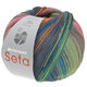 Lana Grossa MEILENWEIT 100g Seta Asia | 3182-