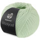 Lana Grossa MEILENWEIT 100g Woolycell | 06-verde bianco
