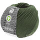 Lana Grossa RISERVA (GOTS) | 20-verde grigio