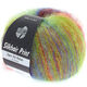 Lana Grossa SILKHAIR Print/Landlust | 335-rosso/blu/verde chiaro/viola scuro