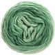 Lana Grossa SLOW WOOL LINO Dégradé | 203-verde pastello/verde grigio/verde patina
