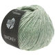 Lana Grossa SMOKEY | 217-verde pastello/natura