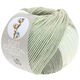 Lana Grossa SOFT COTTON Dégradé | 114-bianco/grigio argento/grigio chiaro/grigio
