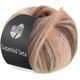Lana Grossa SUPERKID SETA | 110-beige chiaro/pesca/salmone/grigio marrone