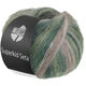 Lana Grossa SUPERKID SETA | 113-grigio chiaro/verde grigio/verde lime/verde scuro/verde abete