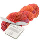 Lana Grossa UNICO (Linea Pura) | 10-bordó/rosso rame/arancio scuro