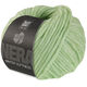 Lana Grossa WINTER SOFTNESS (Nera) | 03-verde bianco