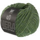 Lana Grossa WINTER SOFTNESS (Nera) | 04-verde foresta