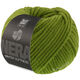 Lana Grossa WINTER SOFTNESS (Nera) | 27-verde