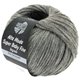 Lana Grossa ALTA MODA SUPER BABY FINE Degradè | 110-grigio chiaro/grigio medio/grigio scuro/antracite