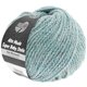 Lana Grossa ALTA MODA SUPER BABY Stella | 204-blu fumo/argento