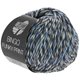 Lana Grossa BINGO Funky Print | 412-bianco/grigio/blu puntinato