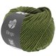 Lana Grossa BINGO Mélange (We Care) | 1013-verde oliva