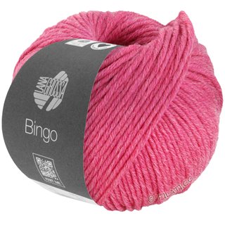Lana Grossa BINGO Mélange (We Care)