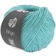 Lana Grossa BINGO Mélange (We Care) | 1039-oceano turchese puntinato