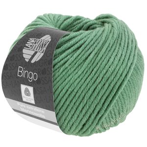 Lana Grossa BINGO  Uni/Melange | 196-verde grigio