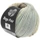 Lana Grossa BINGO Print | 630-natura/grège/grigio chiaro