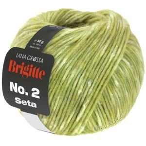 Lana Grossa BRIGITTE NO. 2 Seta | 05-verde chiaro puntinato