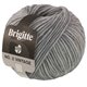 Lana Grossa BRIGITTE NO. 2 Vintage | 209-grigio chiaro puntinato
