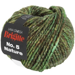 Lana Grossa BRIGITTE NO. 5 Nature | 103-verde/marrone puntinato