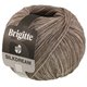 Lana Grossa BRIGITTE Silkdream | 04-beige grigio