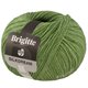 Lana Grossa BRIGITTE Silkdream | 19-verde