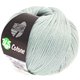 Lana Grossa 365 COTONE | 04-menta