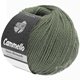 Lana Grossa CAMMELLO | 20-verde reseda