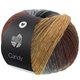 Lana Grossa CANDY | 10-grigio chiaro/grigio/grigio scuro/nero/marrone scuro/grigio marrone/cammello/blu acciaio/marrone rossiccio/palissandro/lana bianca